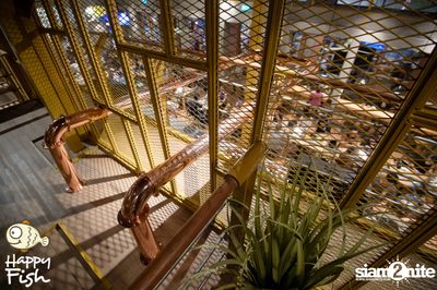 คืนวันอาทิตย์ ที่ร้าน แฮปปี้ ฟิช, เอเชีย ทีค เดอะ ริเวอร์ฟร้อนท์ — photo 100