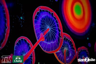 TLT นำเสนอ Vini Vici Live ที่ ไลฟ์ อาร์ซีเอ — photo 45