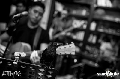 Friday Night at Atmos, Thonglor Soi 10 — photo 69