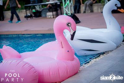 Chang Urban Pulse Presents The Pool Party Bangkok — photo 80