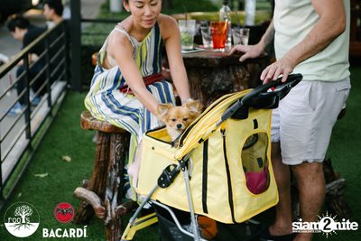 SUNDAZE ที่ Roots | K-Village — photo 64