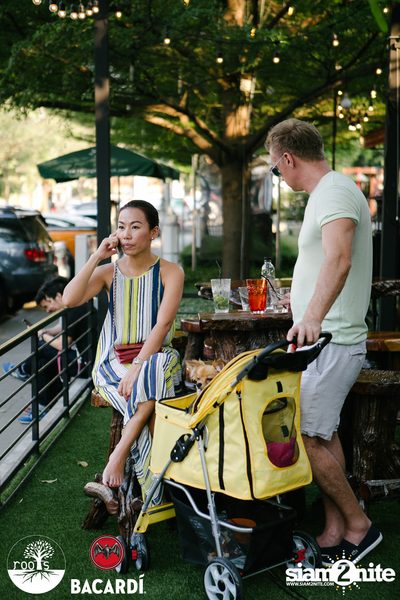 SUNDAZE ที่ Roots | K-Village — photo 65
