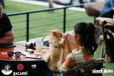 SUNDAZE ที่ Roots | K-Village — photo 101