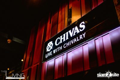 Mild Live at The Living Bistro & Bar Pattaya — photo 7