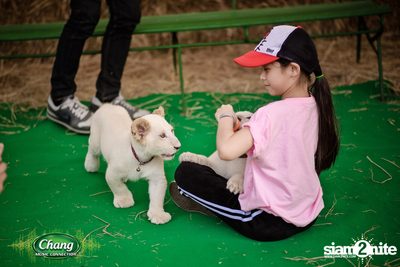 Chang Music Connection นำเสนอ Nanglen Festival 2 — photo 16