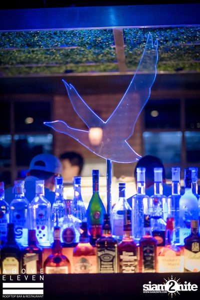 Valentine's Day at Above Eleven — photo 18