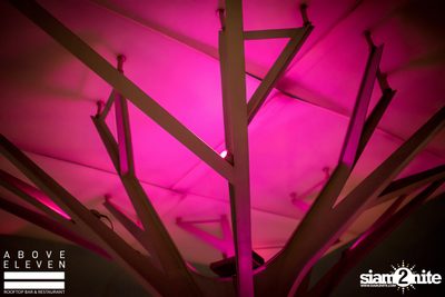 Valentine's Day at Above Eleven — photo 24