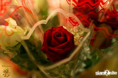 Valentine's Day at Singha Pala — photo 6
