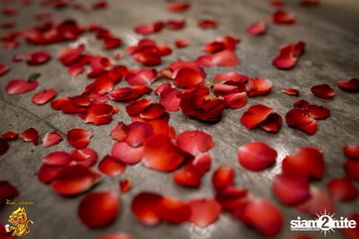 Valentine's Day at Singha Pala — photo 13