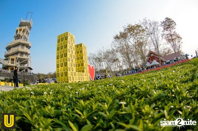 U Beer ที่ ลานสิงห์ปาร์ค เชียงราย — photo 48