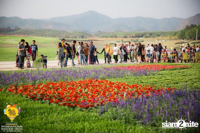 International Balloon Fiesta ที่ ลานสิงห์ปาร์ค เชียงราย (วันที่ 1) — photo 4