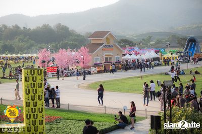 International Balloon Fiesta ที่ ลานสิงห์ปาร์ค เชียงราย (วันที่ 1) — photo 9