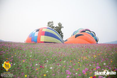 International Balloon Fiesta ที่ ลานสิงห์ปาร์ค เชียงราย (วันที่ 1) — photo 61