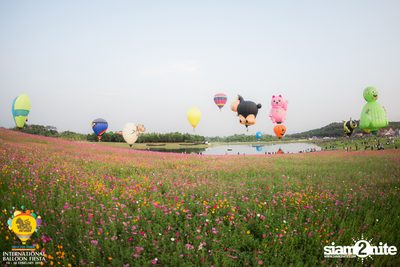 International Balloon Fiesta ที่ ลานสิงห์ปาร์ค เชียงราย (วันที่ 2) — photo 65