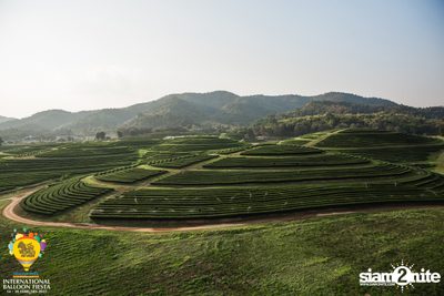 International Balloon Fiesta ที่ ลานสิงห์ปาร์ค เชียงราย (วันที่ 3) — photo 46