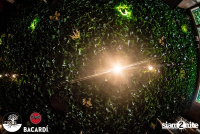 SUNDAZE ที่ Roots | K-Village — photo 21