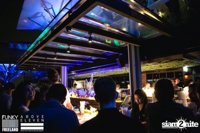 Funky Freeland: Studio 54 w/ Neil Pierce at Above Eleven — photo 12