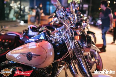 Rebel Revo | AAS Harley-Davidson of Bangkok — photo 14