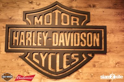 Rebel Revo | AAS Harley-Davidson of Bangkok — photo 125