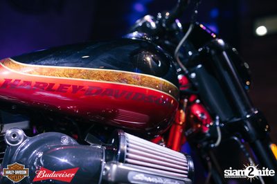 Rebel Revo | AAS Harley-Davidson of Bangkok — photo 159