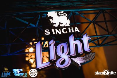 Singha Light pres. Lights Out Party at Boytoys — photo 8