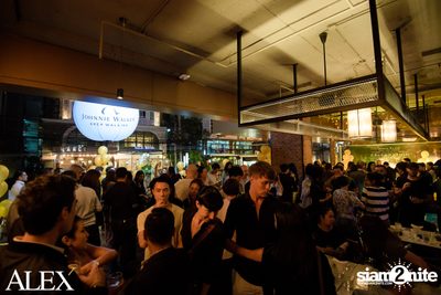 The Official Grand Opening of ALEX Brasserie — photo 11