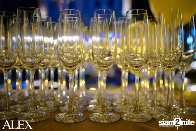 The Official Grand Opening of ALEX Brasserie — photo 33