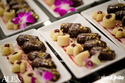 The Official Grand Opening of ALEX Brasserie — photo 86
