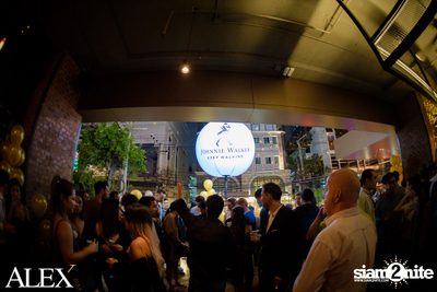 The Official Grand Opening of ALEX Brasserie — photo 89