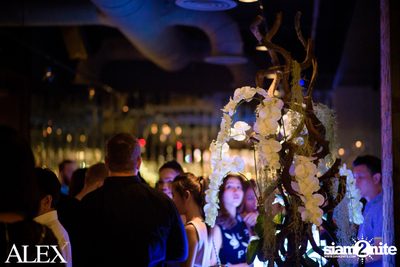 The Official Grand Opening of ALEX Brasserie — photo 103