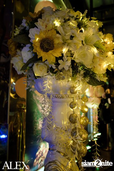 The Official Grand Opening of ALEX Brasserie — photo 132