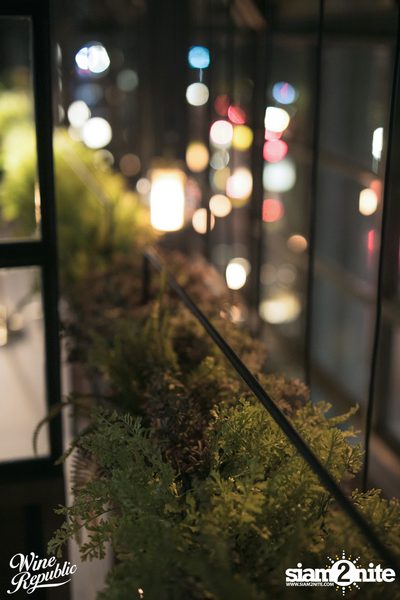 Friday Night at Wine Republic Thonglor — photo 61