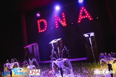 Singha Light pres. Lights Out Party at DNA Pingpub — photo 22