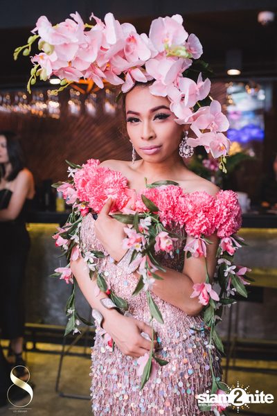 Wild Wednesdays Launch Party w/ Pangina Heals at 8 on Eleven — photo 57