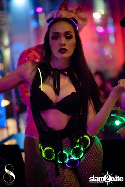 Pangina Heals & Her Party Animalz Wild Wednesdays at 8 on 11 — photo 41