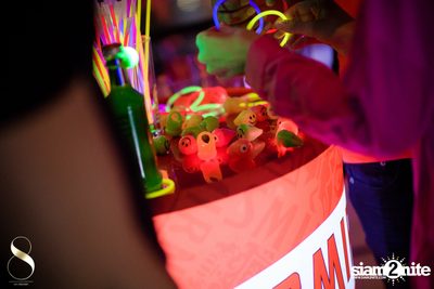Pangina Heals & Her Party Animalz Wild Wednesdays at 8 on 11 — photo 47