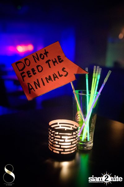 Pangina Heals & Her Party Animalz Wild Wednesdays at 8 on 11 — photo 65