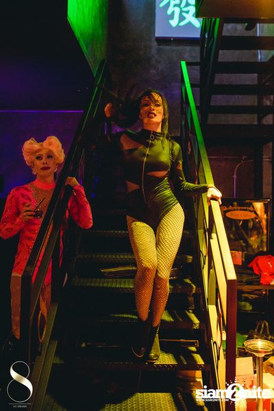 Pangina Heals & Her Party Animalz Wild Wednesdays at 8 on 11 — photo 96