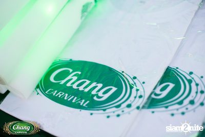 Chang Carnival 2017: Electric Circus | ชลบุรี (วันที่ 1) — photo 18