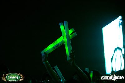 Chang Carnival 2017: Electric Circus | ชลบุรี (วันที่ 1) — photo 113