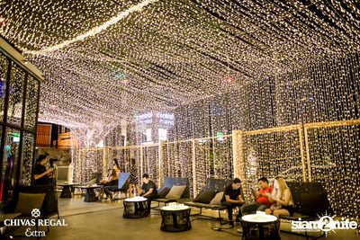 Potato Live ที่ ดิฟเฟอร์ ผับ — photo 5