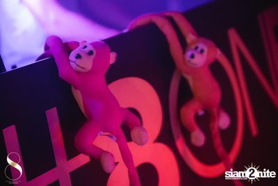 Drunken Monkeys: 3 Year Anniversary at 8 On Eleven — photo 13
