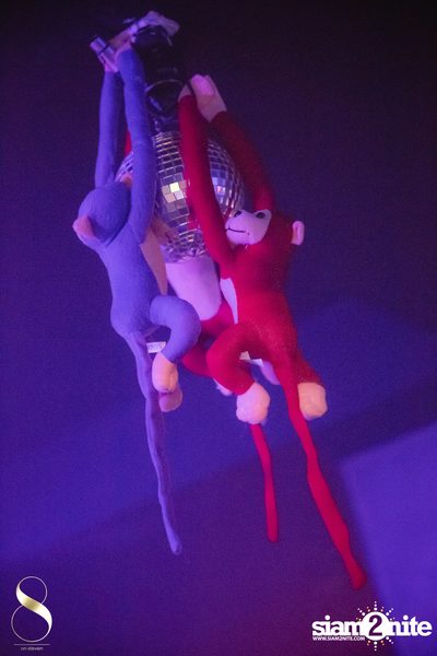 Drunken Monkeys: 3 Year Anniversary at 8 On Eleven — photo 15