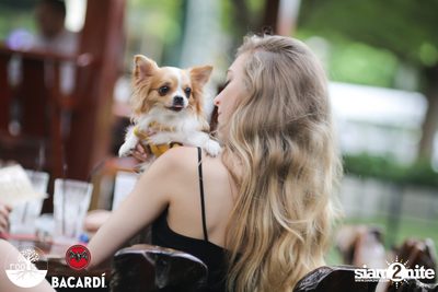 Sundaze ที่ รูทส์ กับ Tek & Yvan — photo 37