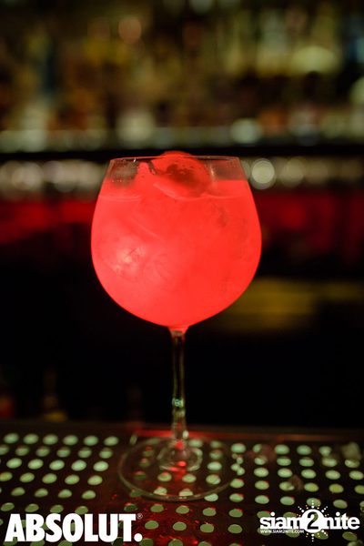 RED Carpet - Festival de Cannes at Revolucion Cocktail — photo 14