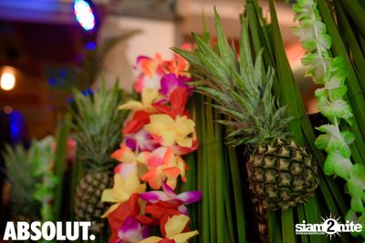 Tiki Garden at Revolucion Cocktail  — photo 6