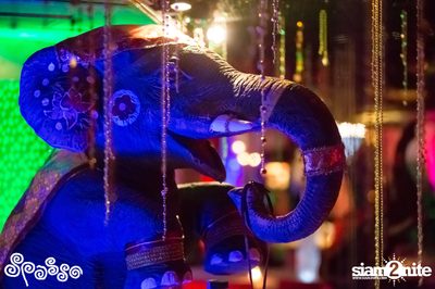 Bollywood Party ที่ สปาสโซ่ — photo 21