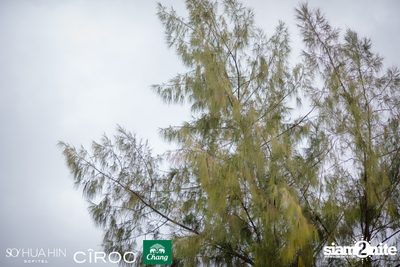 SO Beach Party at SO Sofitel Hua Hin — photo 24