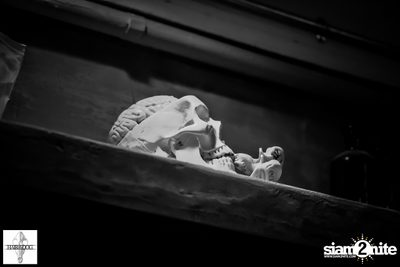 Hair of the Dog Phloen Chit - Second Anniversary — photo 32