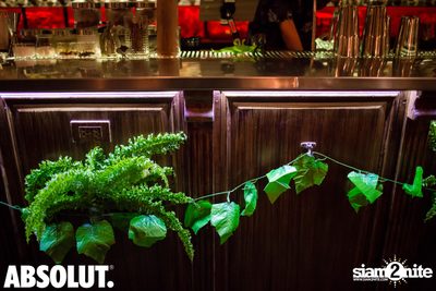 Jungle Party at Revolucion Cocktail  — photo 5